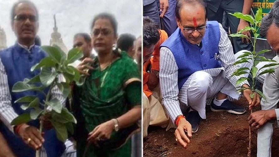 फोटोः सोशल मीडिया