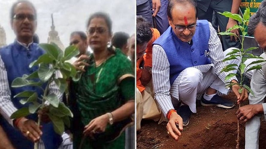 फोटोः सोशल मीडिया