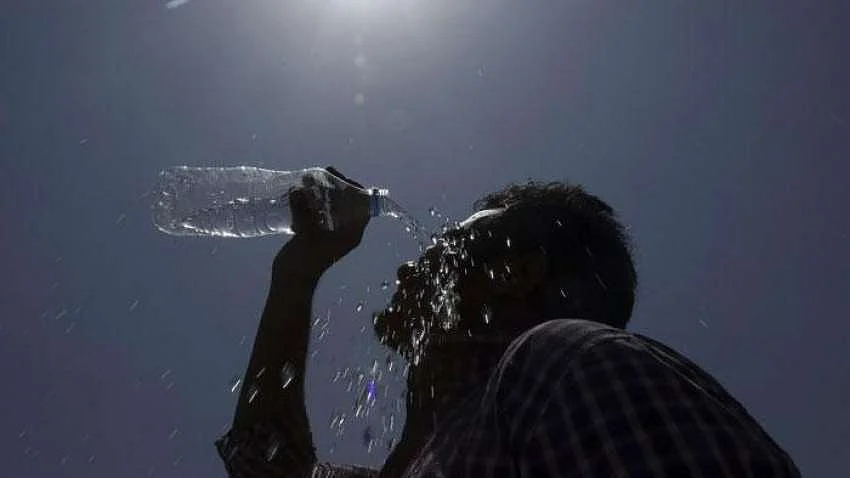 फोटो: सोशल मीडिया&nbsp;