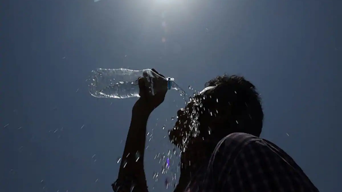फोटो: सोशल मीडिया