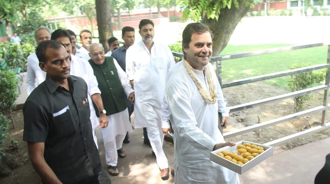 तस्वीरें: राहुल गांधी के जन्मदिन पर बधाइयों का तांता, किसी ने लगाई पेड़ तो किसी ने लंबी उम्र के लिए किया हवन