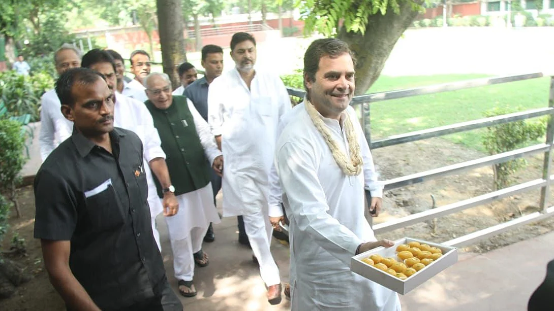 फोटो: विपिन