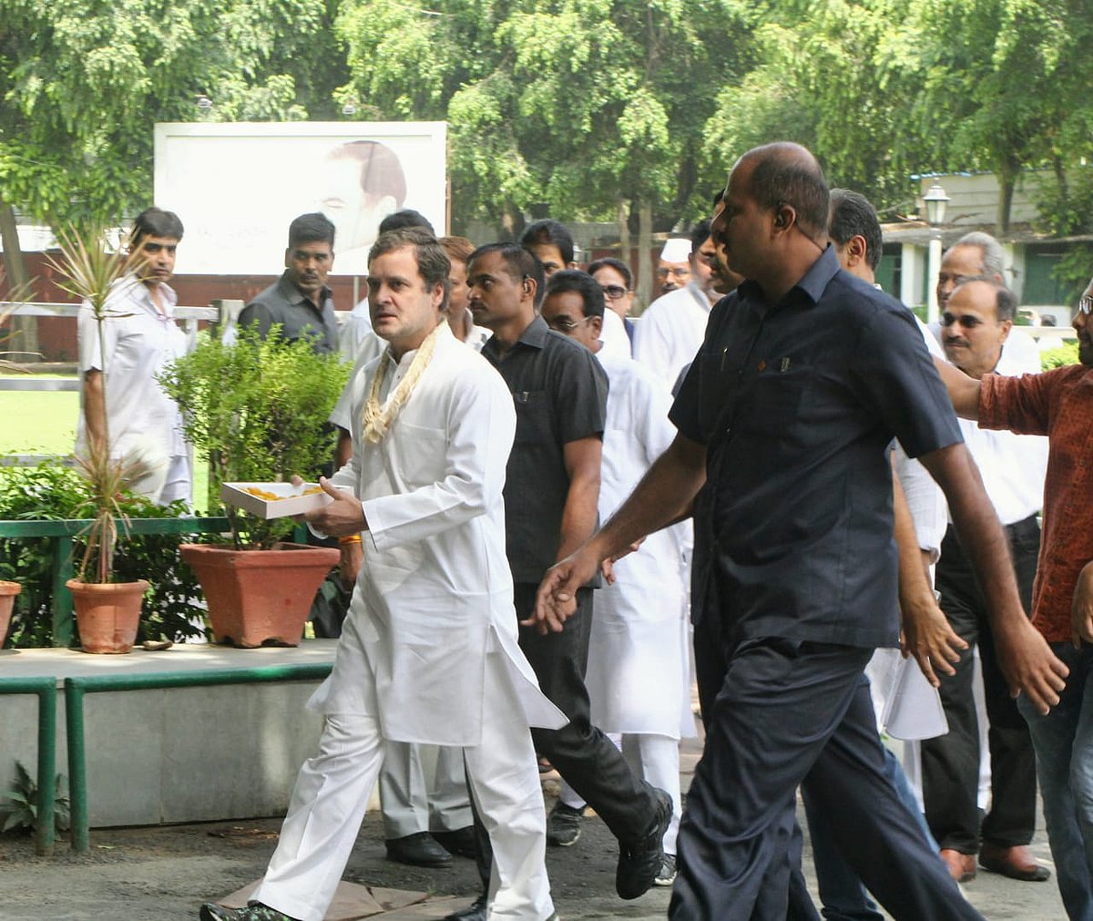 तस्वीरें: राहुल गांधी के जन्मदिन पर बधाइयों का तांता, किसी ने लगाई पेड़ तो किसी ने लंबी उम्र के लिए किया हवन
