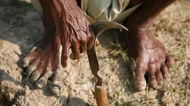 फोटोः सोशल मीडिया