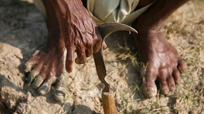 फोटोः सोशल मीडिया