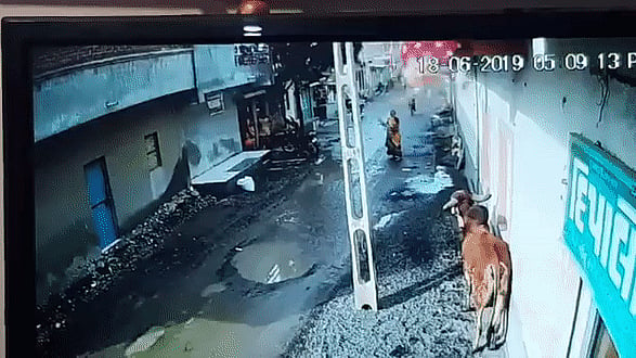 फोटो: सोशल मीडिया 