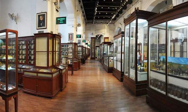 अगली बार मुंबई जाएं तो ‘भारतीय सिनेमा का राष्ट्रीय संग्रहालय’  जरूर देखें, यहां दिखेगी सिनेमा के इतिहास की झलक