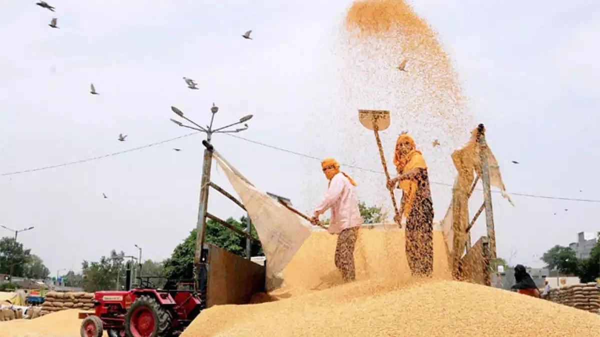 फोटो: सोशल मीडिया
