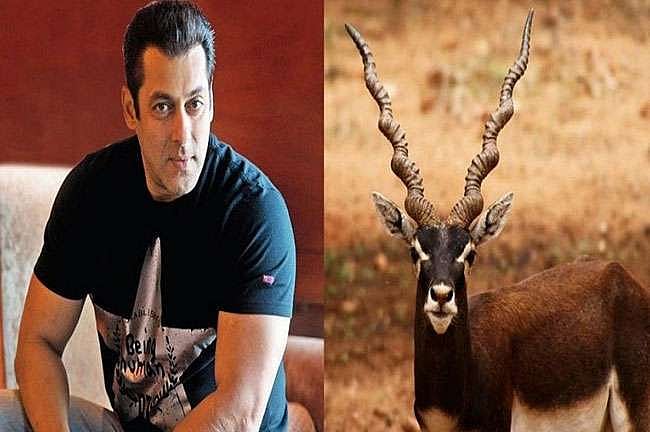 काला हिरण शिकार केस: सलमान खान फिर जाएंगे जेल? जानें जज ने क्यों लगाई फटकार