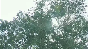 दिल्ली, पंजाब और राजस्थान समते कई राज्यों में जारी है प्रचंड गर्मी का प्रकोप, मंगलवार से राजधानी मेें राहत की उम्मीद