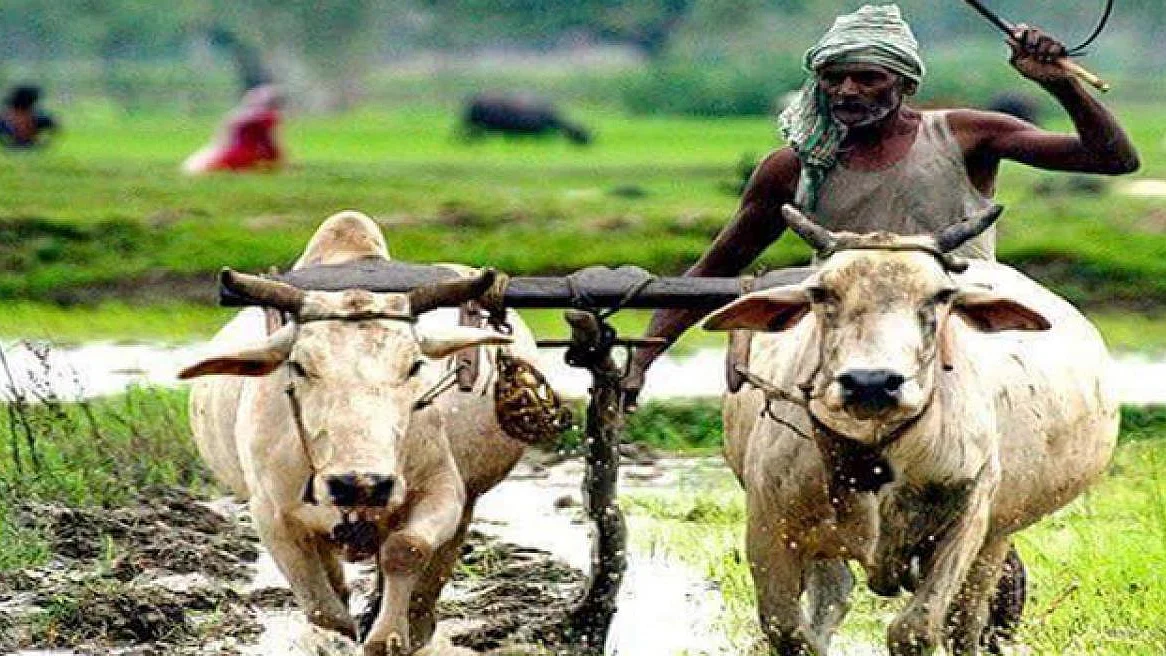 फोटो : सोशल मीडिया