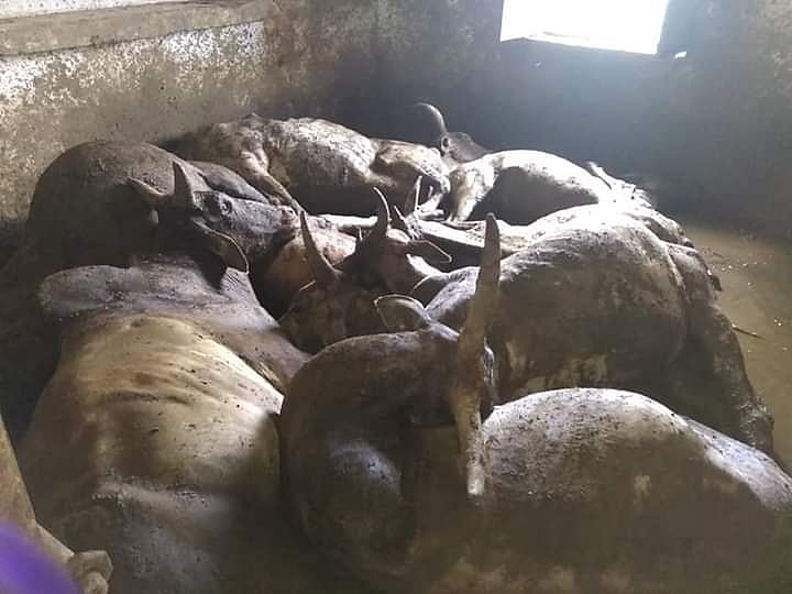 फोटो: पीटीआई