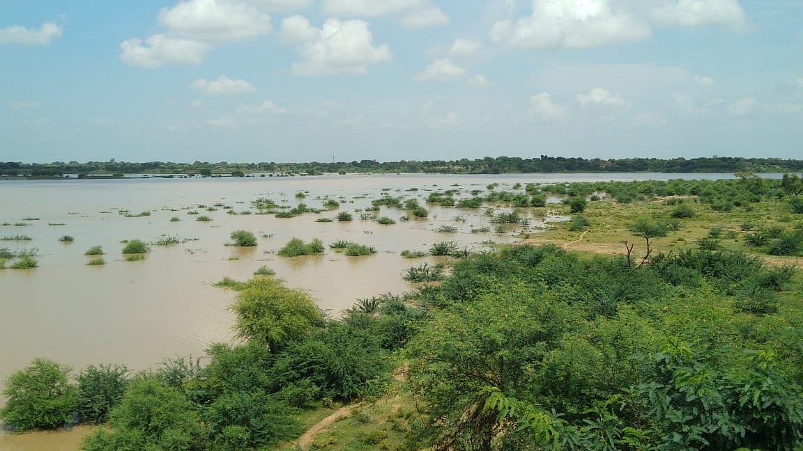 फोटो: IANS