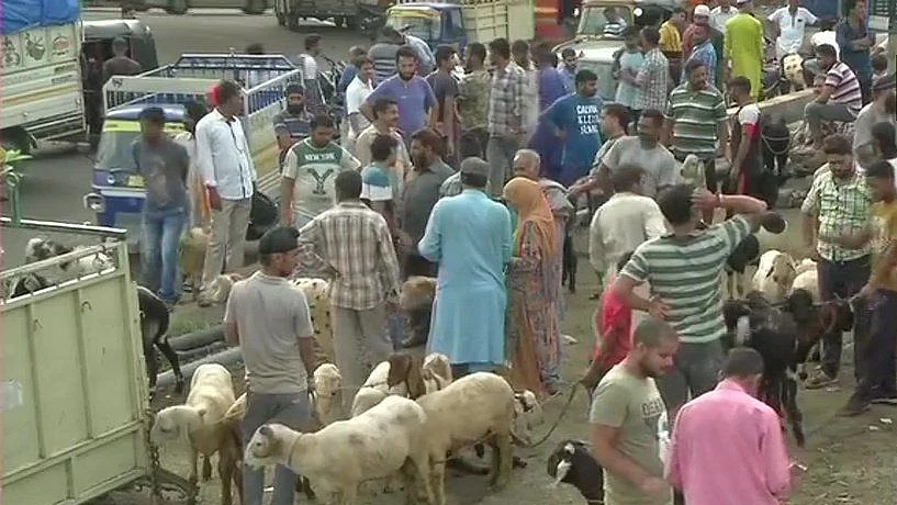 फोटो: सोशल मीडिया
