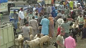 जम्मू-कश्मीर से धारा 370 हटाने के बाद ईद से ठीक एक दिन पहले सामने आई ये खास तस्वीर, जानिए अब कैसे हैं हालात