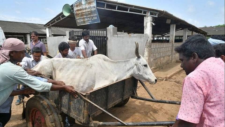 फोटो: सोशल मीडिया