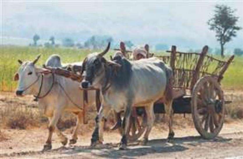 यूपीः योगी राज में ‘ठांय-ठांय’ पुलिस का कमाल, बैलगाड़ी का काटा चालान, फजीहत होने पर किया रद्द