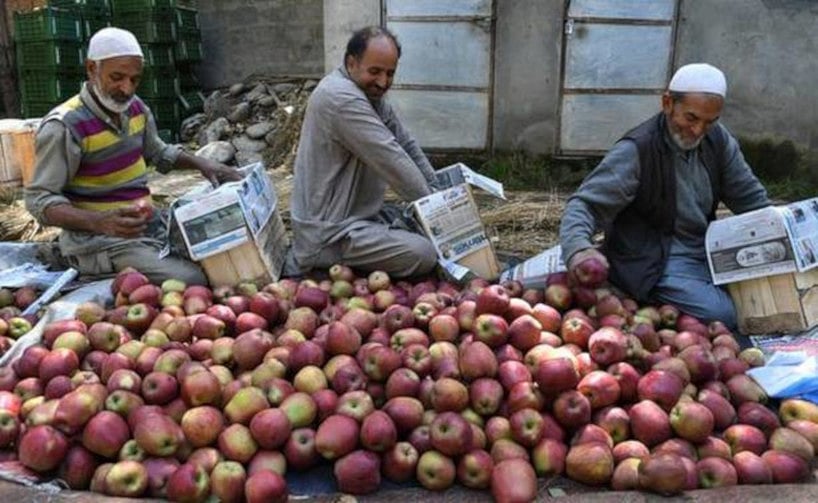 जम्मू-कश्मीर से धारा 370 हटाए जाने के बाद कश्मीरियों के लिए अच्छी खबर!