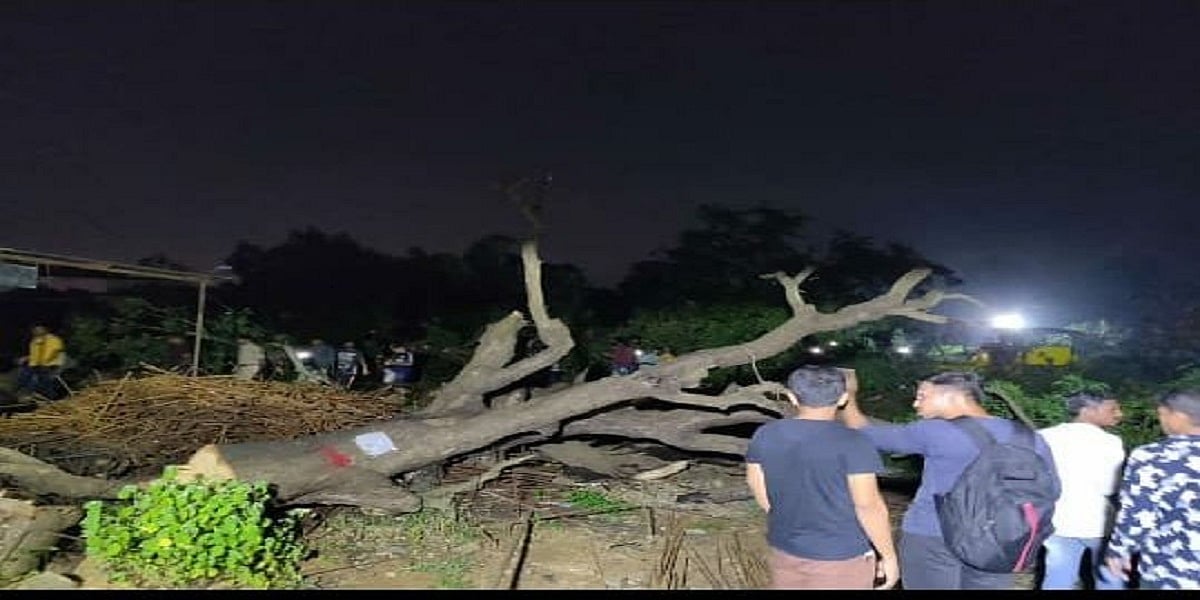 मुबंई का आरे कुछ नहीं, अभी तो वहां कटने वाले हैं लाखों पेड़, बीजेपी सरकार कस चुकी है कमर