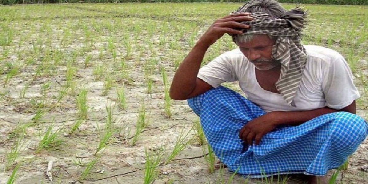 महाराष्ट्रः बीजेपी शासन में दोगुने से ज्यादा हुई किसानों की खुदकुशी, सिर्फ पिछले साल रोज 7 किसानों ने दी जान