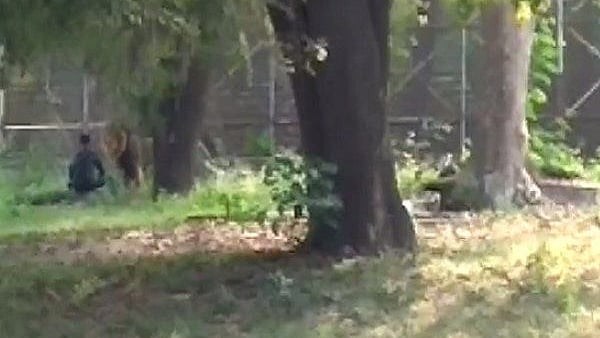 फोटो: सोशल मीडिया