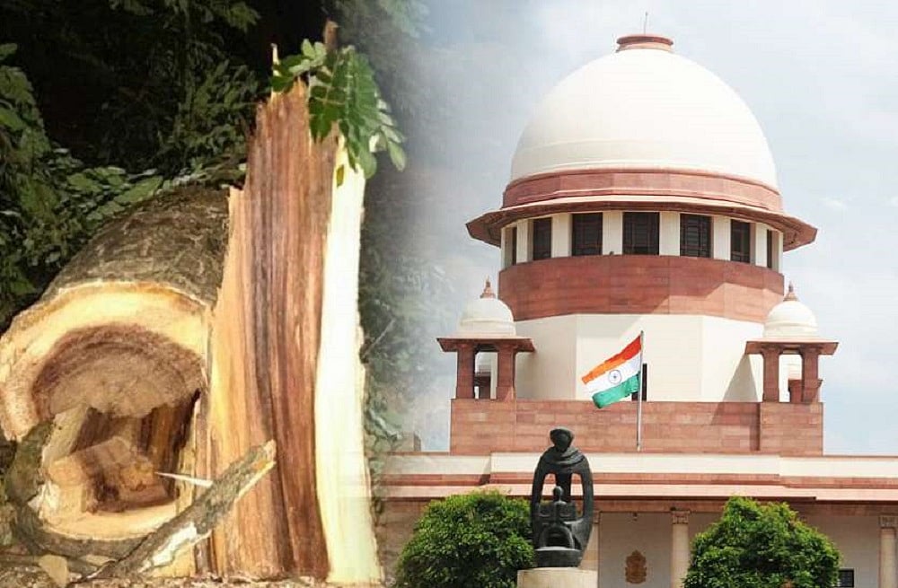 महाराष्ट्र सरकार को सुप्रीम कोर्ट से बड़ा झटका, अदालत ने कहा- आरे में तुरंत बंद हो पेड़ों की कटाई