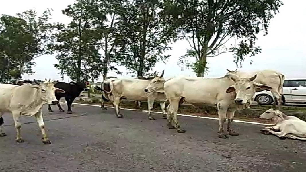 फोटोः सोशल मीडिया