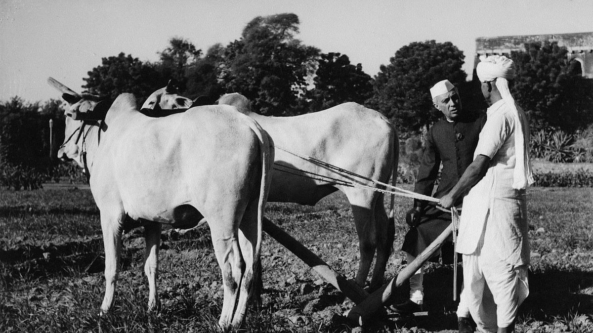 फोटो: सोशल मीडिया