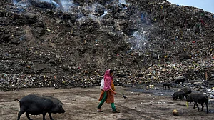 उत्तर प्रदेश में स्वच्छता अभियान की धज्जियां, कानपुर वेस्ट प्लांट के चलते नहीं हो रहीं युवाओं की शादी