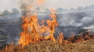 एनआरआई की पंजाब में पराली से बिजली बनाने में मदद की पेशकश, 200 संयंत्र लगाने की योजना