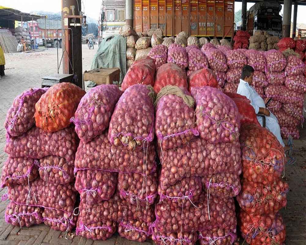 मध्य प्रदेश: प्याज की जमाखोरी रोकने के लिए सरकार का बड़ा कदम, इतने कुंटल से अधिक प्याज नहीं रख सकेंगे व्यापारी