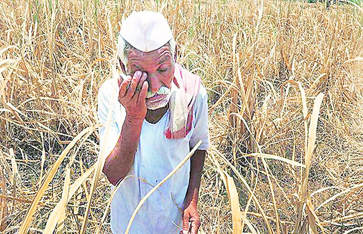  विकट स्थिति में उत्तर प्रदेश के गांव, योगी राज में किसानों का हुआ और भी बुरा हाल