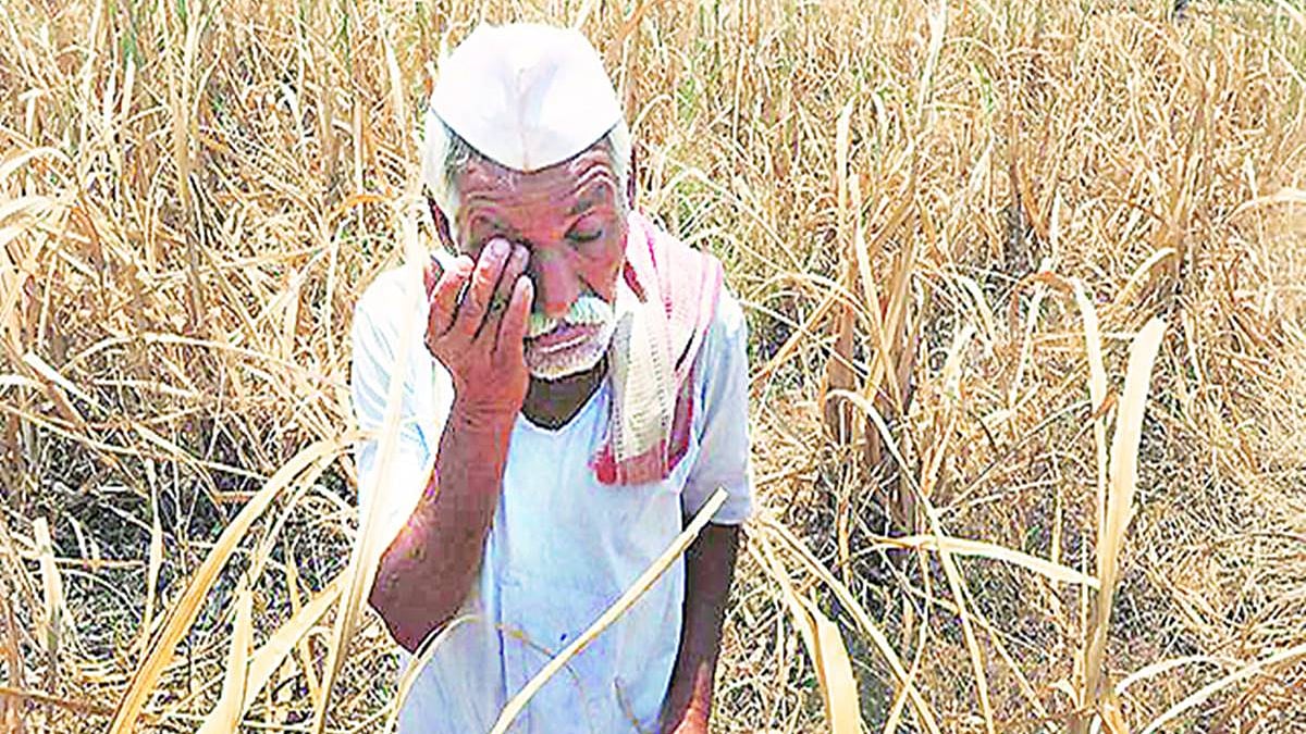 प्रतीकात्मक तस्वीर