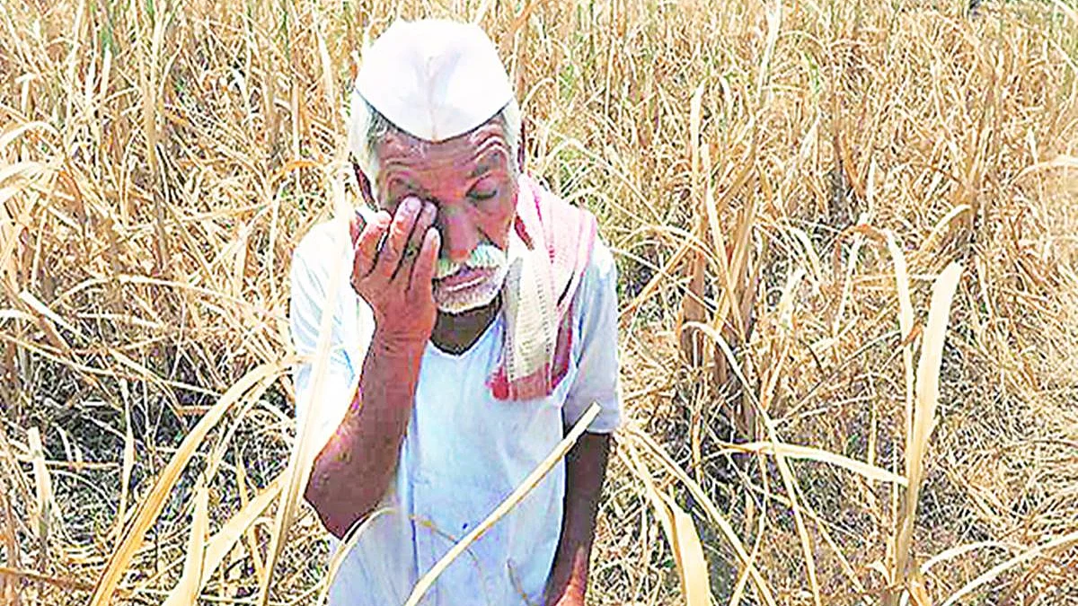 प्रतीकात्मक तस्वीर