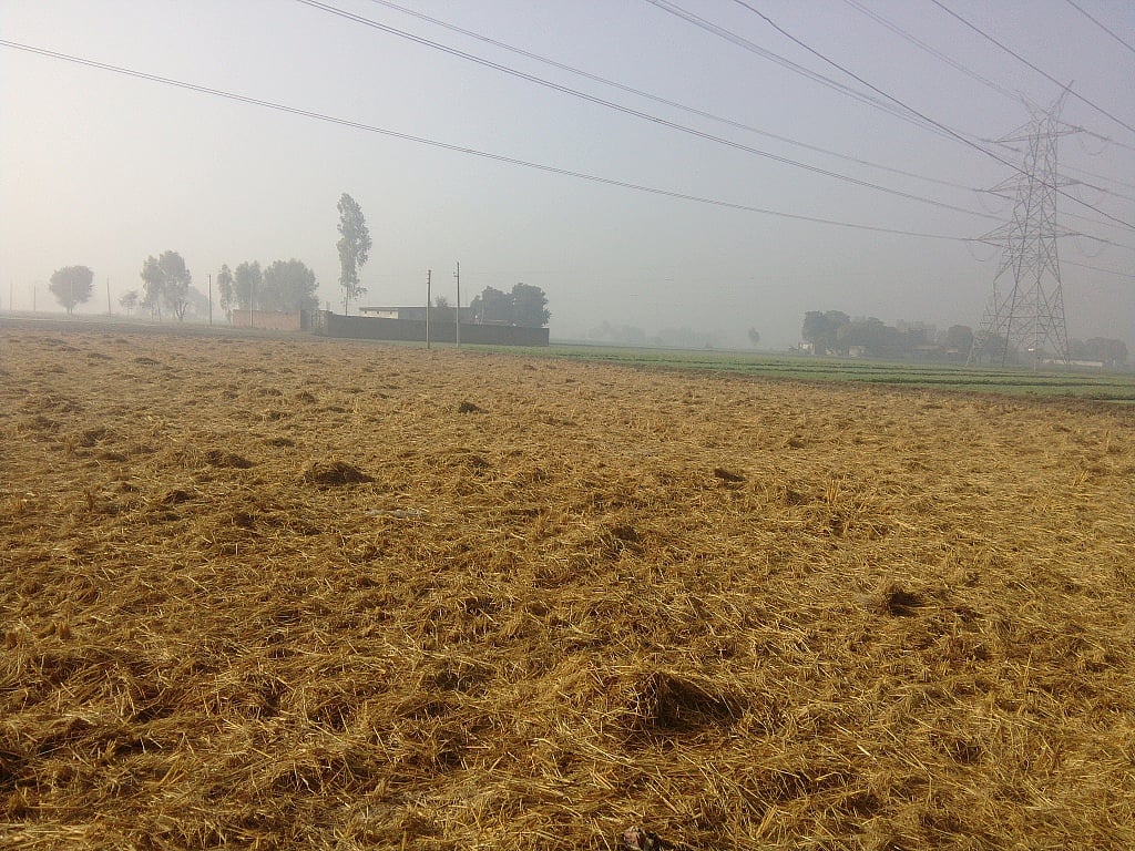 पंजाब में पराली जलाने पर पाबंदी, किसानों को मिल रहा मुआवजा, हवा की गुणवत्ता सुधरी 