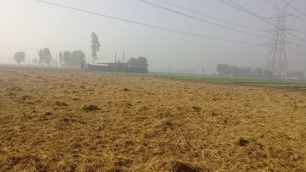 फोटो: सोशल मीडिया