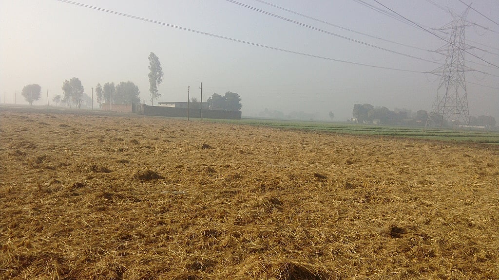 फोटो: सोशल मीडिया