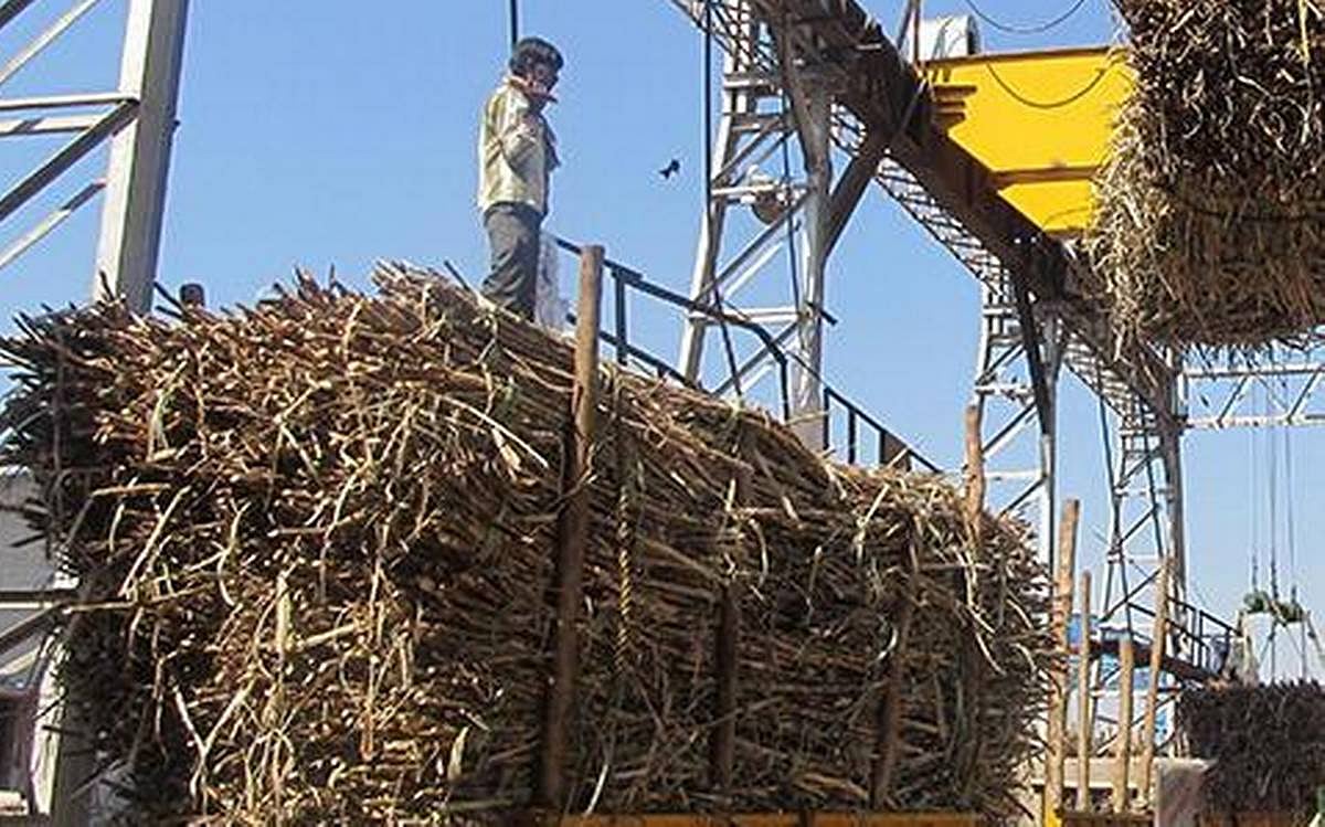 अर्थ जगत की 5 बड़ी खबरें: पिछले साल से 53 फीसदी घटा चीनी का उत्पादन, भारत में इस वर्ष स्पैम कॉल में 15 फीसदी की वृद्धि