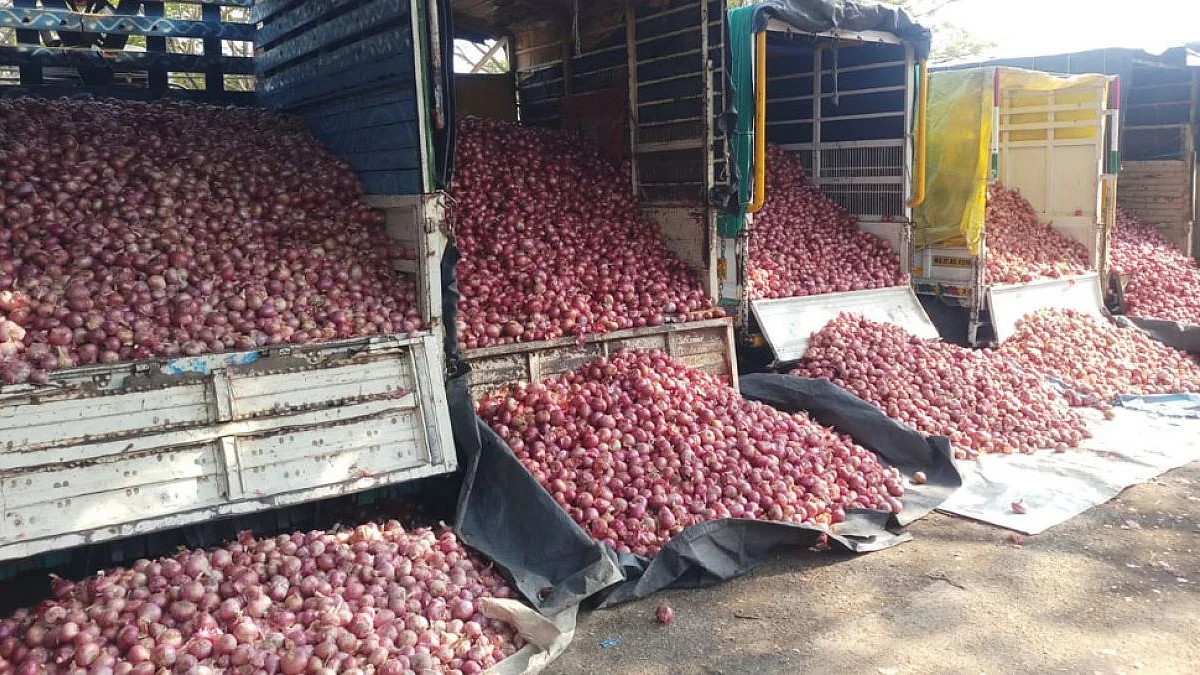 फोटो: सोशल मीडिया
