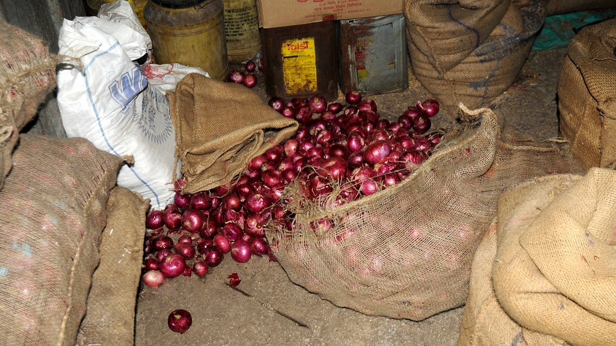 फोटो : आईएएनएस