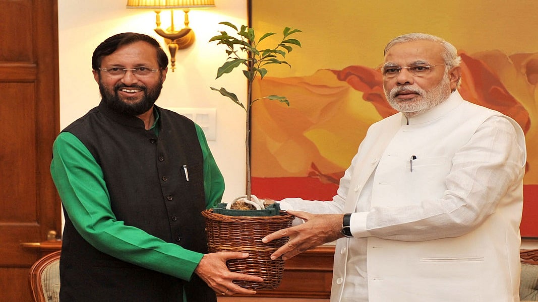 फोटोः सोशल मीडिया