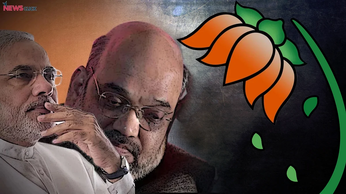फोटो : सोशल मीडिया