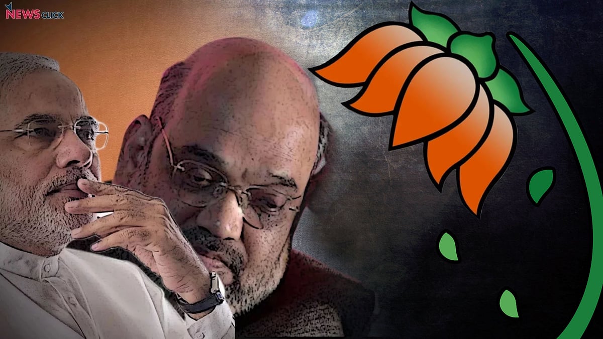 फोटो : सोशल मीडिया
