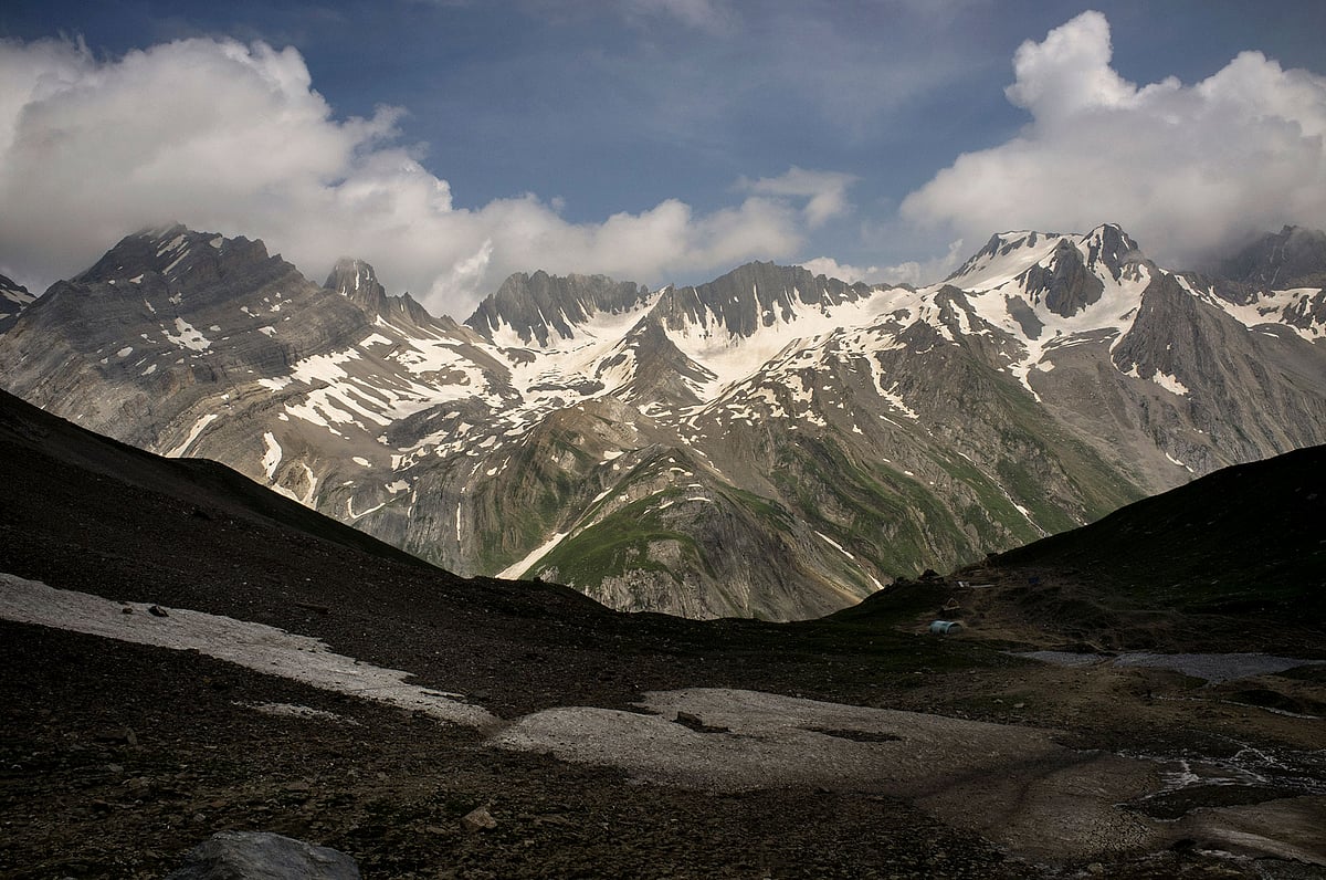 हिमालय पर घासों और झाड़ियों का बढ़ता दायरा, जलवायु परिवर्तन से तापमान बढ़ने का असर