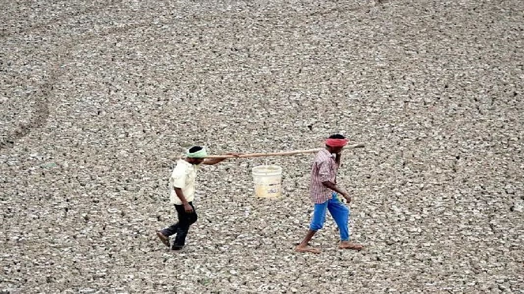 फोटोः सोशल मीडिया