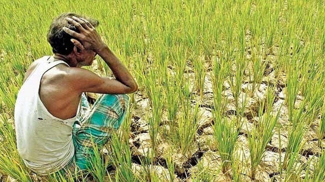 फोटोः सोशल मीडिया