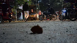 दिल्ली हिंसा में गोली-बम से ज्यादा घातक साबित हुई ये खास किस्म की गुलेलें, रूह कंपा देने वाली है सच्चाई!