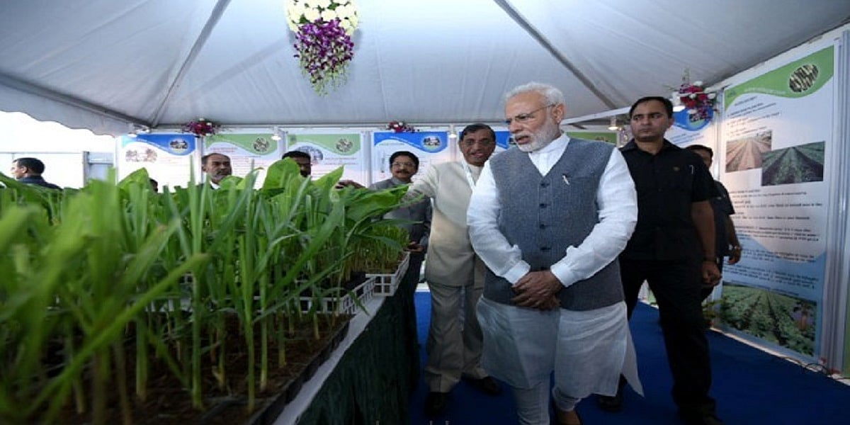 देश का खेत-किसान बदहाल, फिर कैसे  बजट में कटौती कर सम्मान दिलाएंगे पीएम मोदी