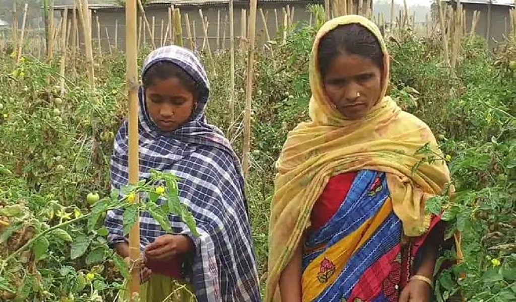 असम की जाबेदा 15 दस्तावेज पेश करके भी नहीं साबित कर पाई नागरिकता, कहा- कानूनी लड़ाई में सब कुछ खो बैठी 