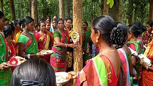 साल और सागवान की वह लड़ाई, जो बनी झारखंड को अस्तित्व में लाने वाले आंदोलन की बुनियाद